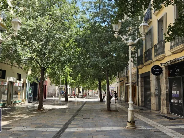 Local 714 m²