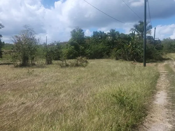 VERS LE FREDDYS HOUSE, BEAU TERRAIN PLAT DE 1000M²