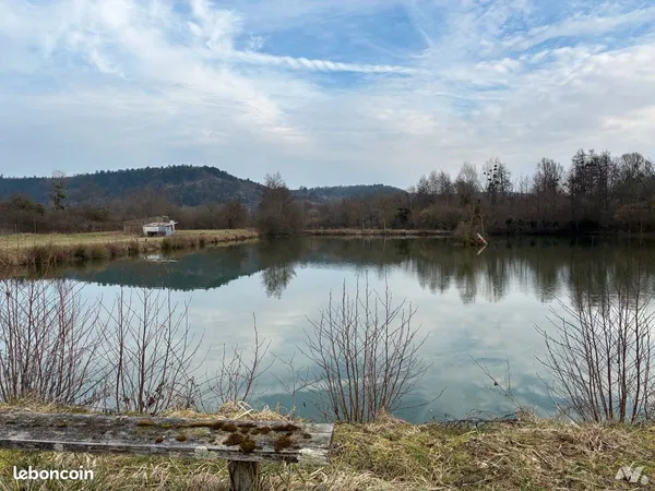 Terrain 55375 m² THONNANCE LES JOINVILLE