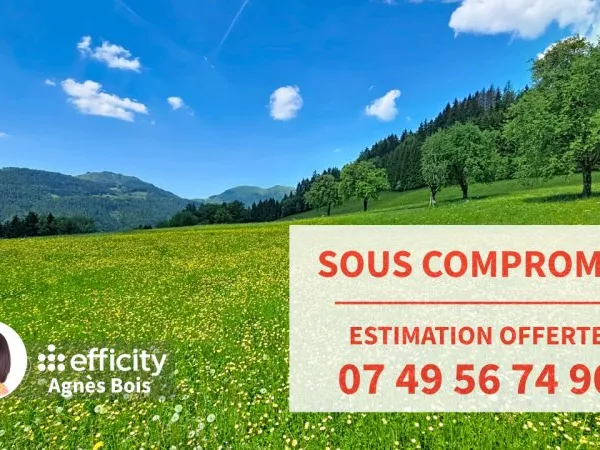 Terrain 6411 m²