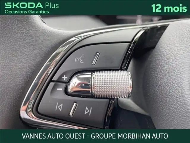 Skoda Enyaq iv 80 — photo 15