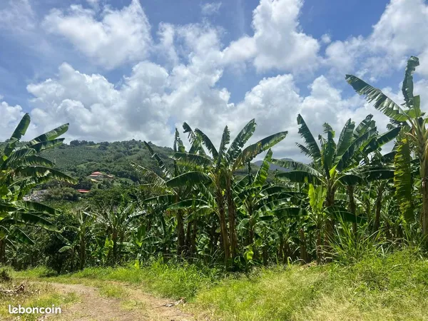 Terrains au lorrain 1000m²