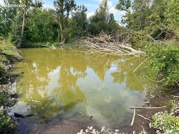 Étang au bord de la Dive