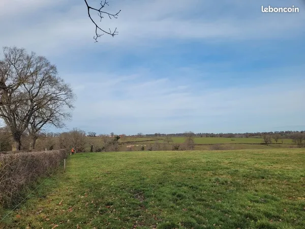 Parcelles de vigne
