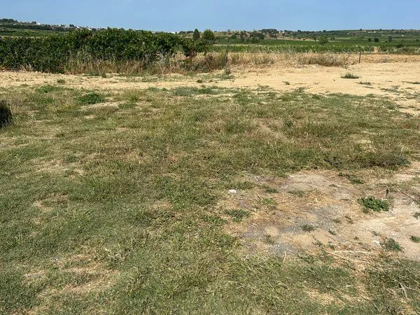 Terrain constructible