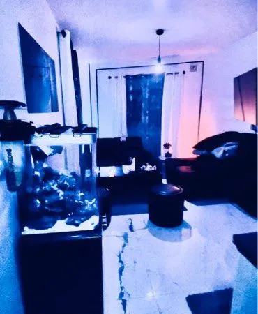 2 appartement