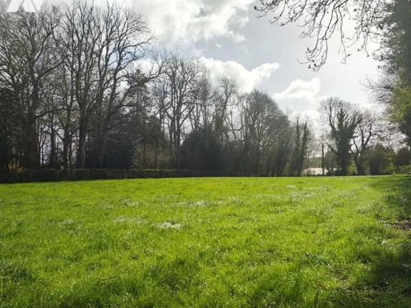 Terrain 2302 m²