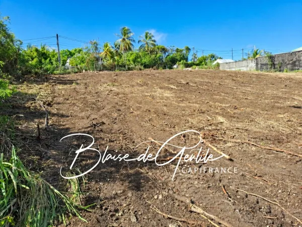 Terrain 1000 m²