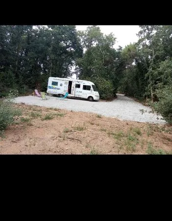 Vends forêt zone naturel