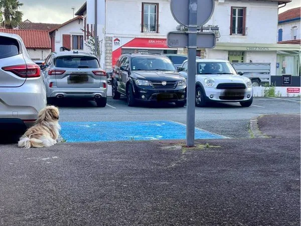 Droit au bail