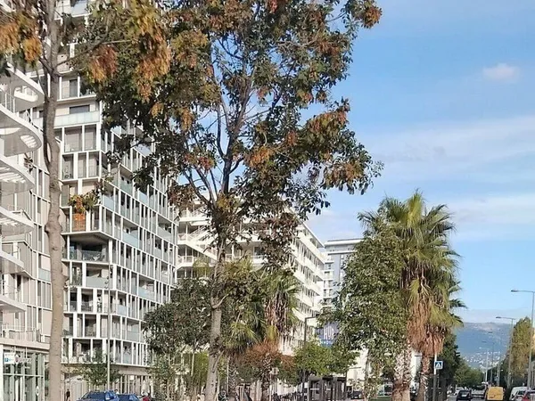Boutique 180 m²