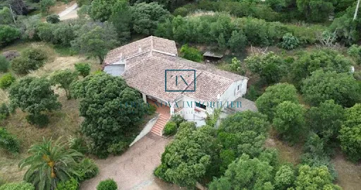 Villa 7 pièces 194 m²