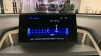 Lexus Nx 300h 4WD Luxe — photo 18