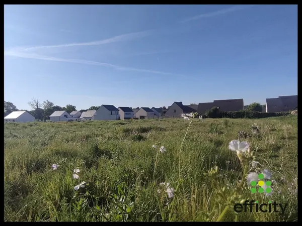 Terrain 363 m²
