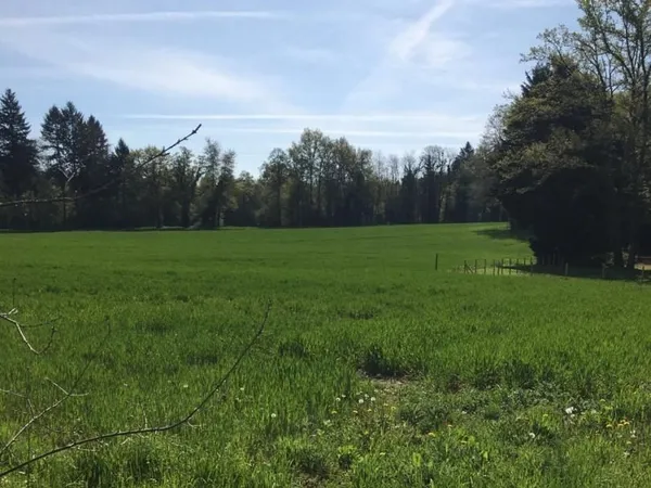 A vendre terrains constructibles - Saint Just le Martel