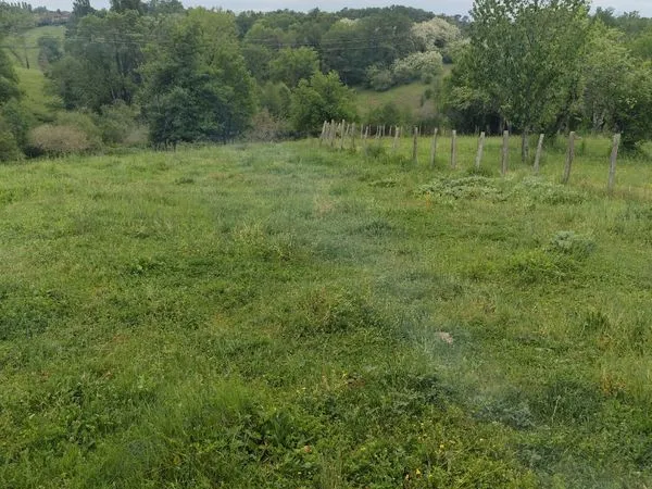 Terrain constructible