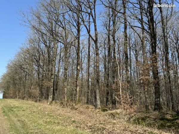 Terrain 780000 m² Écueillé