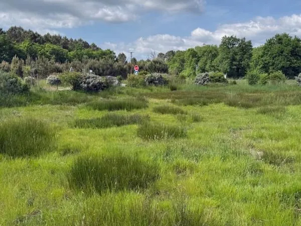 Terrain 570 m² Salaunes