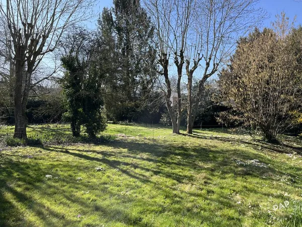 Terrain 990 m²