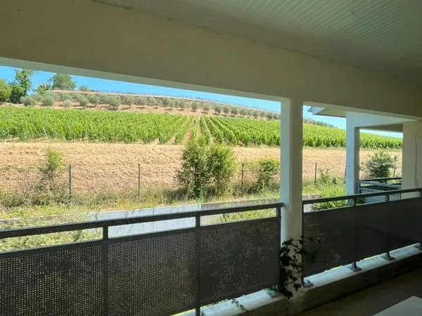 Studio 28m²