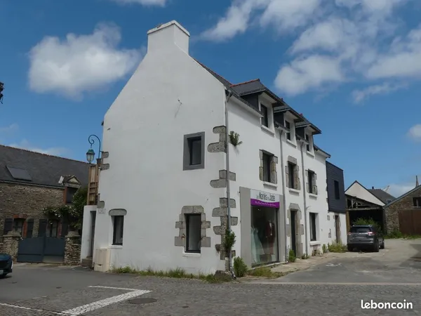 Très beau duplex de 124 M2 refait à neuf dans micro copropriété en plein coeur de ville (type maison