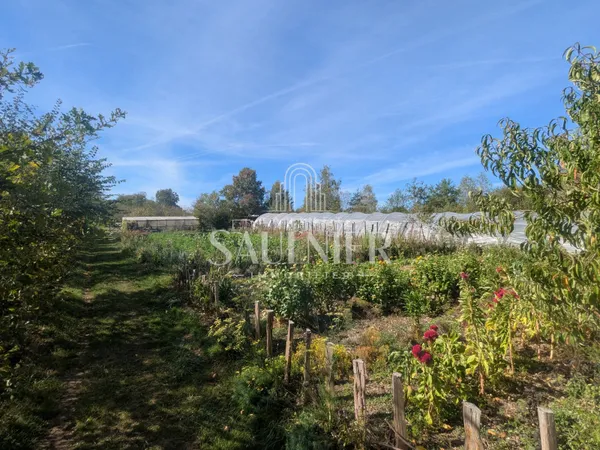 Entre Montrichard et Blois, petit domaine agricole.