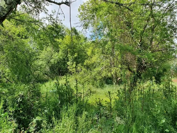 LEON Terrain de 3000 M²