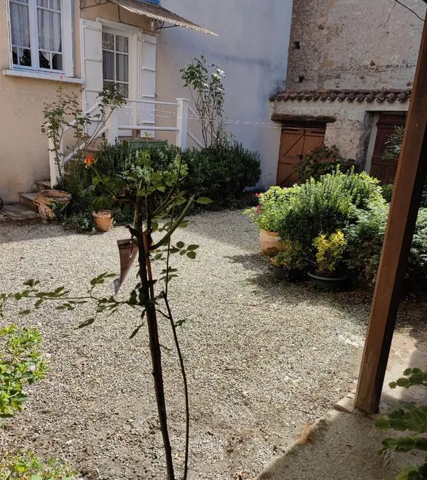 Photo 3