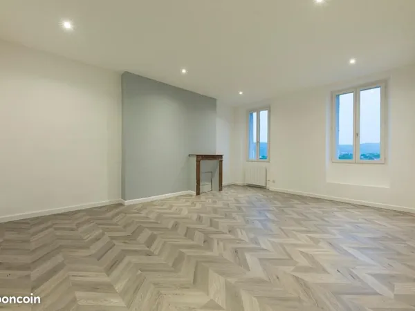 Grand appartement lumineux