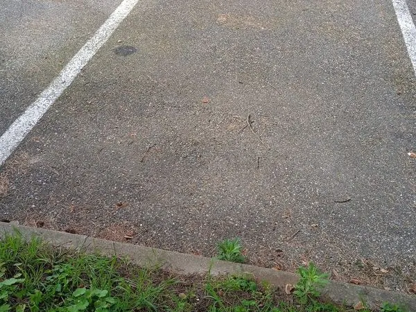 Place parking a louer