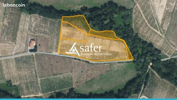 Terrain 17127 m² Chénas