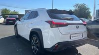 Lexus Ux 250h F SPORT Design 2WD — photo 7