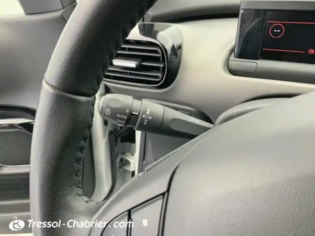 Citroën C4 cactus puretech 110 s&amp;s bvm6 shine — photo 18