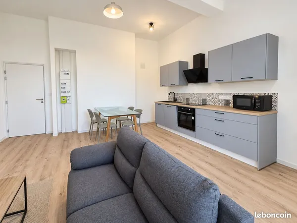 Particulier Loue Appartement T2 meublé 42 m² rénové à neuf, lumineux et spacieux