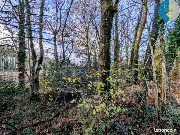 Terrain 1716 m² Monteneuf