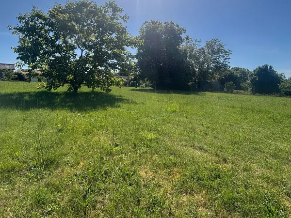 Terrain 2500 m²