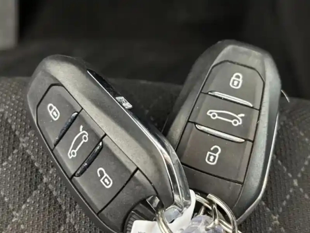 Opel Grandland X 1.5 diesel 130 ch bva8 elegance business 5p — photo 20