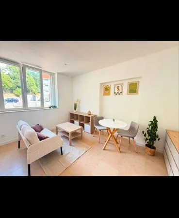Studio Meublé Neuf secteur Cours Fauriel. MINES/ISTP