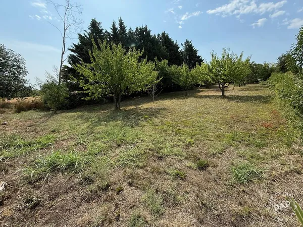 Terrain 1000 m²