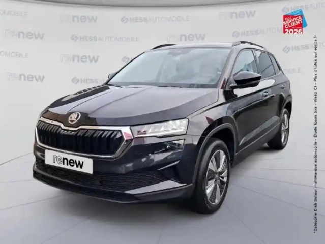 Skoda Karoq 1.5 tsi act 150ch business dsg7 — photo 1