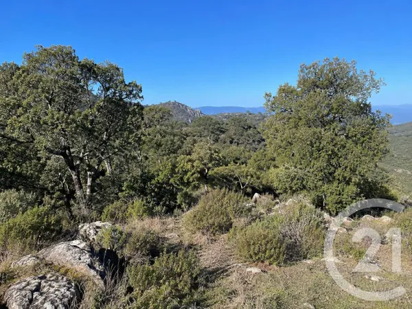 Terrain 56853 m²