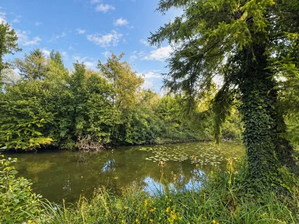 Terrain 17443 m²