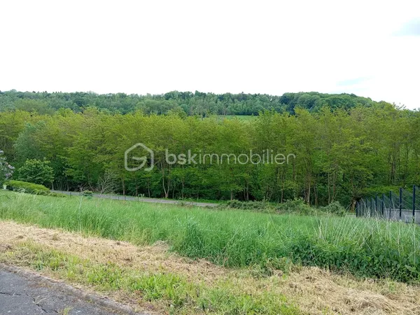 Terrain 8591 m²