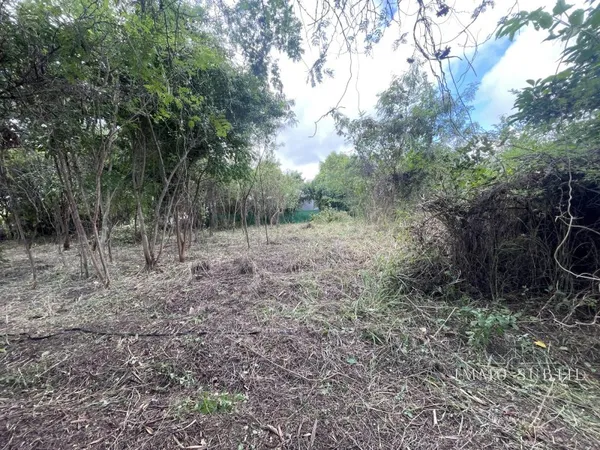 Terrain 1138 m²