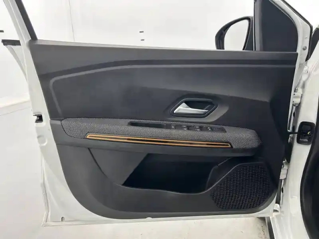 Dacia Sandero eco-g 100 - 22 — photo 20