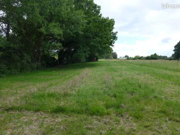Terrain constructible