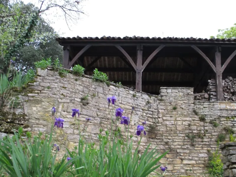 Photo 11
