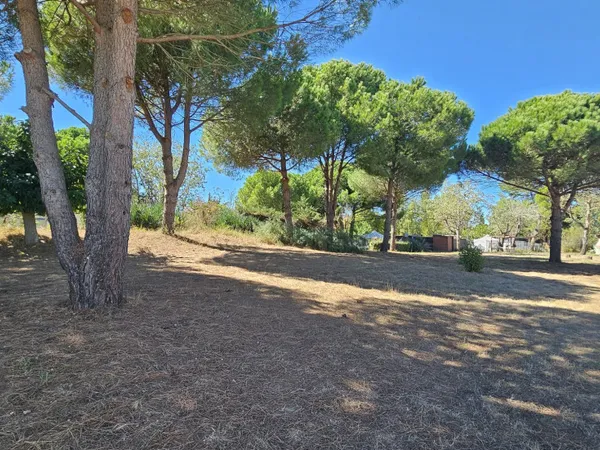 Terrain de loisir 1667 m²