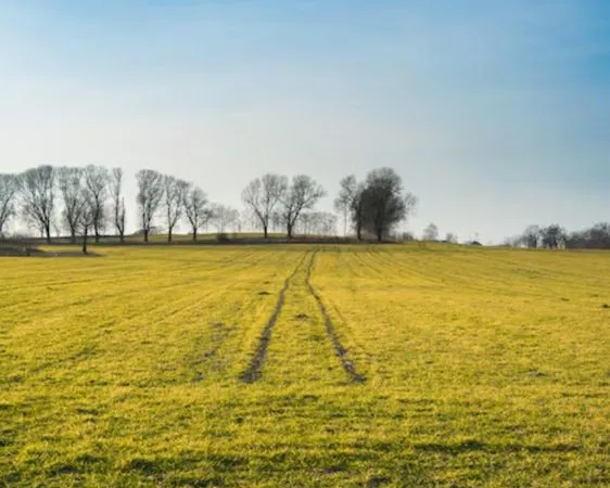 Terrain nu 1600m2 à 200/mois
