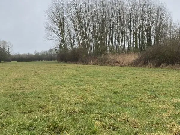 Terrain 11 m² Château-la-Vallière